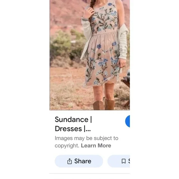 Women's Sundance L Sleeveless Dress‎ Mesh Overlay W/ Embroidered Forget Me Nots - Picture 6 of 7